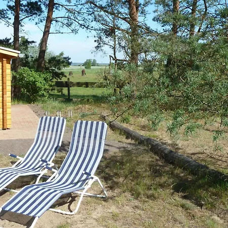 Boddenblick Mit Sauna *